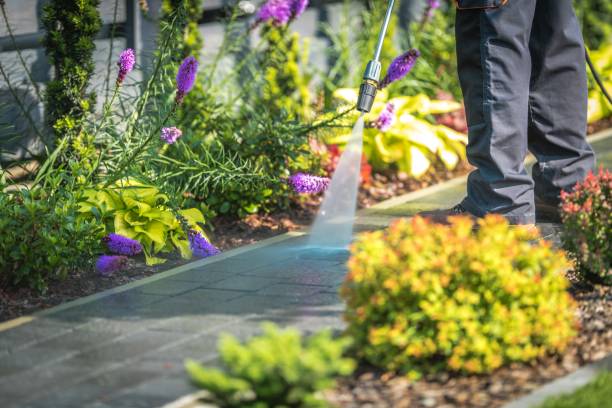 Best Driveway Pressure Washing  in Cedar Lake, IN