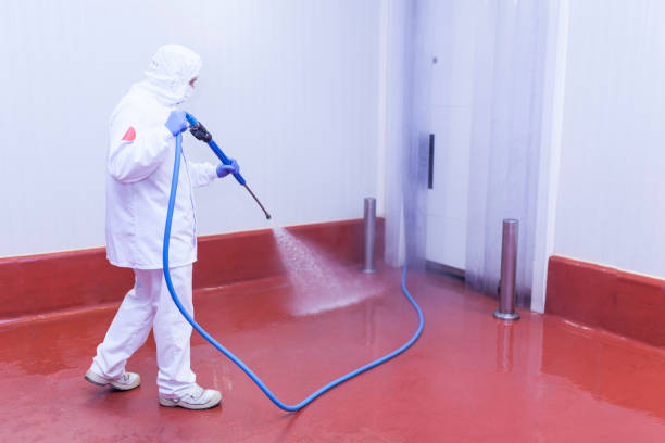 Best Post-Construction Pressure Washing  in Cedar Lake, IN