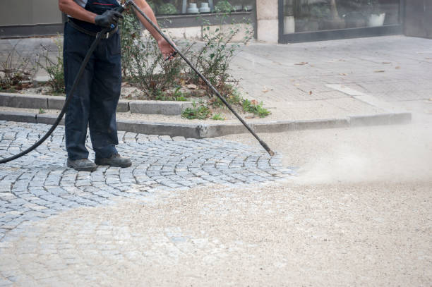Best House Exterior Washing  in Cedar Lake, IN