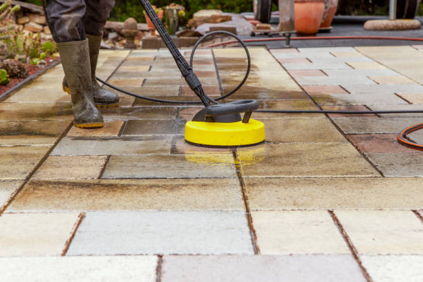 Animal Enclosure Cleaning in Cedar Lake, IN